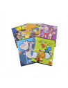 Caiet Pigna A5 geometrie, 24 file,CP-A524GD0