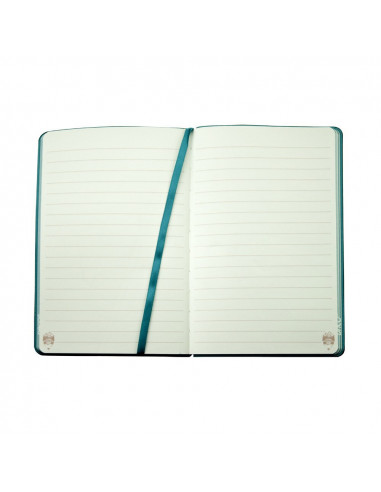 AN501A,AGENDA NEDATATA A5 160 PAGINI DACO AN501A