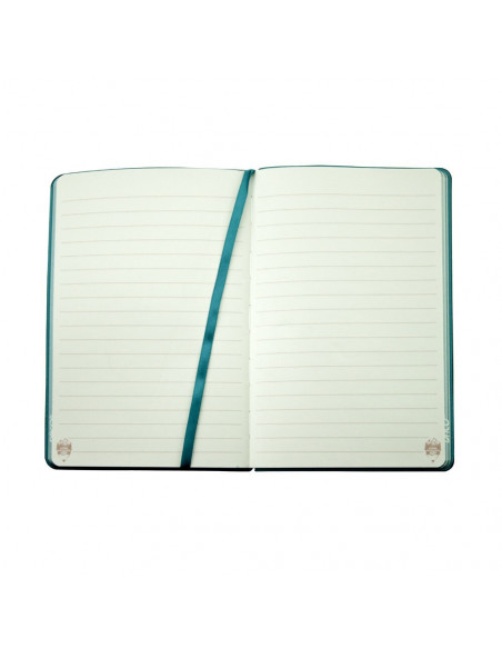 AN501A,AGENDA NEDATATA A5 160 PAGINI DACO AN501A