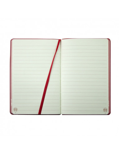 AN501R,AGENDA NEDATATA A5 160 PAGINI DACO AN501R