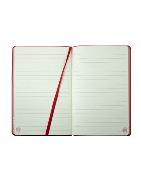 AN501R,AGENDA NEDATATA A5 160 PAGINI DACO AN501R