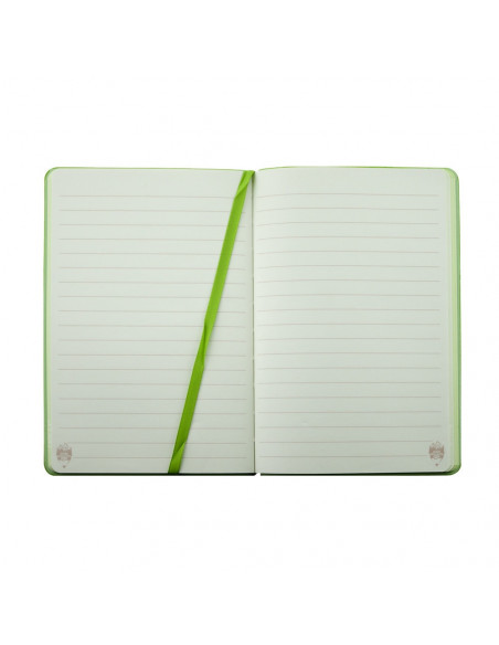 AN501V,AGENDA NEDATATA A5 160 PAGINI DACO AN501V