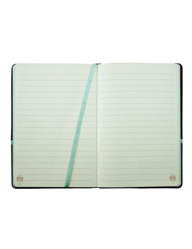 AN502A,AGENDA NEDATATA A5 160 PAGINI DACO AN502A AN502A,AGENDA NEDATATA A5 160 PAGINI DACO AN502A