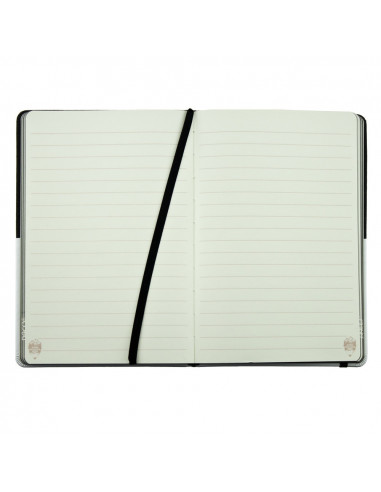 AN503N,AGENDA NEDATATA A5 160 PAGINI DACO AN503N AN503N,AGENDA NEDATATA A5 160 PAGINI DACO AN503N