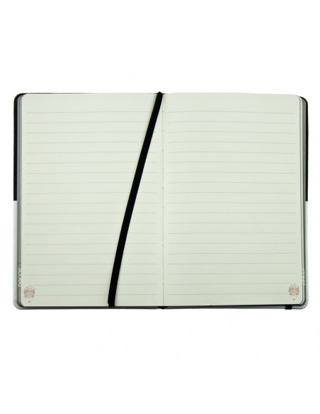 AN503N,AGENDA NEDATATA A5 160 PAGINI DACO AN503N AN503N,AGENDA NEDATATA A5 160 PAGINI DACO AN503N