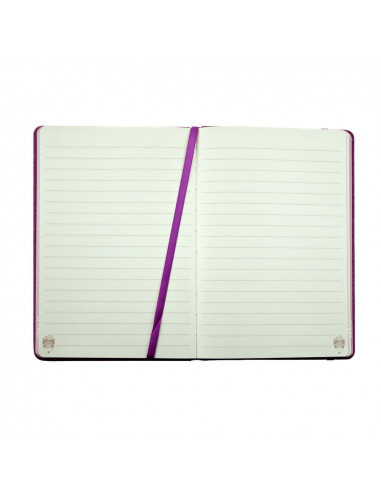 AN504RZ,AGENDA NEDATATA A5 160 PAGINI DACO AN504RZ