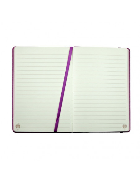 AN504RZ,AGENDA NEDATATA A5 160 PAGINI DACO AN504RZ