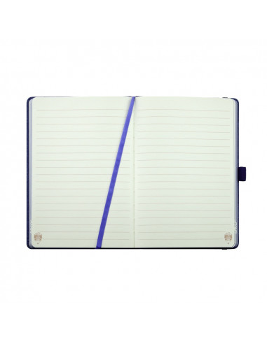 AN506M,AGENDA NEDATATA A5 160 PAGINI DACO AN506M