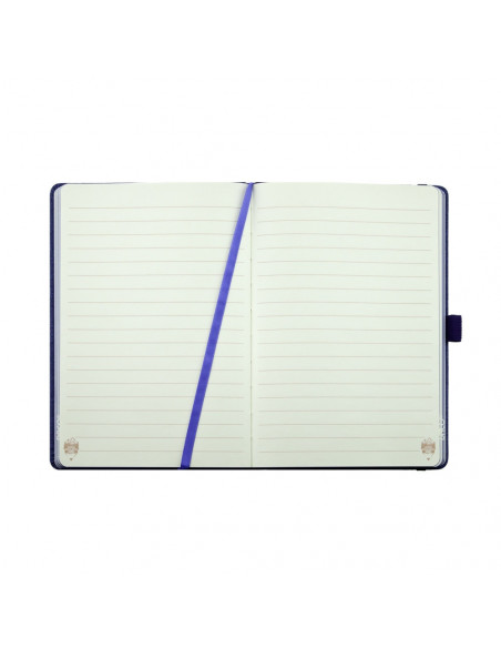 AN506M,AGENDA NEDATATA A5 160 PAGINI DACO AN506M