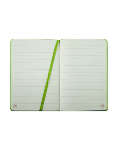 AN601V,AGENDA NEDATATA A6 160 PAGINI DACO AN601V AN601V,AGENDA NEDATATA A6 160 PAGINI DACO AN601V