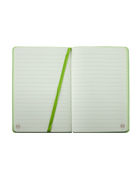 AN601V,AGENDA NEDATATA A6 160 PAGINI DACO AN601V AN601V,AGENDA NEDATATA A6 160 PAGINI DACO AN601V