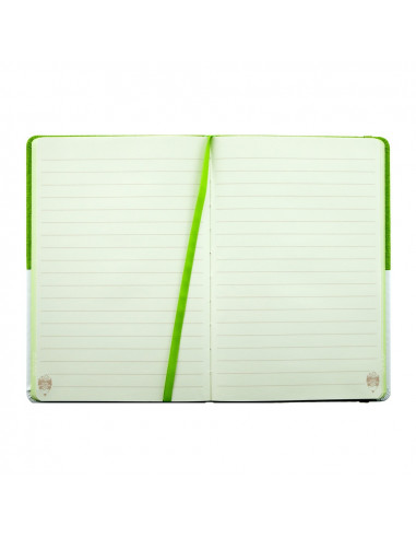 AN603V,AGENDA NEDATATA A6 160 PAGINI DACO AN603V