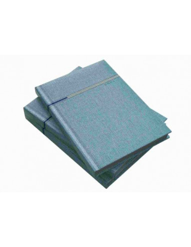 9483830,Agenda Datata A5 2021 Flash, 352 Pagini, Azuriu Margini Argintii Herlitz