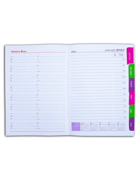 Agenda A5, Datata 2023, Coperta Cartonata, Verde