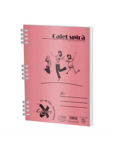 Caiet PIGNA A5, 80 de file, Dictando Basic