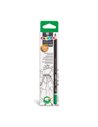Creion Carioca 2H