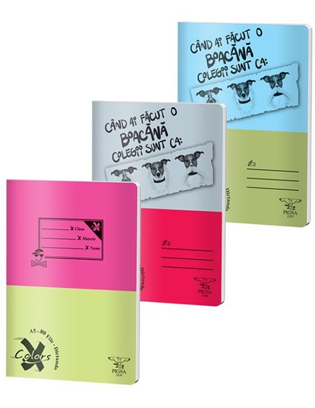 Caiet Pigna A5 80 de file,  Dictando basic