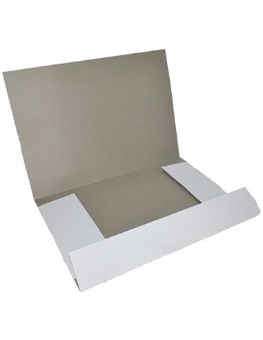 Dosar carton plic