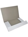 Dosar carton plic