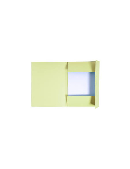 DOSAR CARTON PLIC GALBEN EXACOMPTA,EX448005E