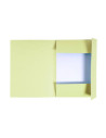 DOSAR CARTON PLIC GALBEN EXACOMPTA,EX448005E