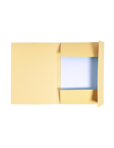 DOSAR CARTON PLIC NATUR EXACOMPTA,EX448002E