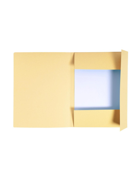 DOSAR CARTON PLIC NATUR EXACOMPTA,EX448002E