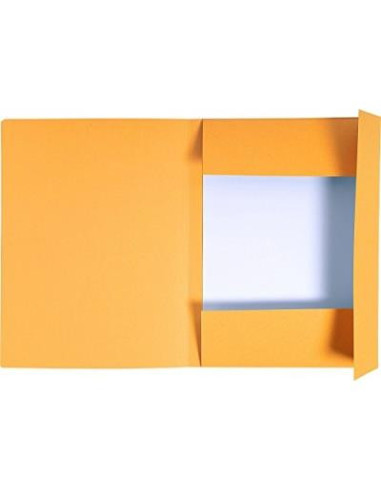 DOSAR CARTON PLIC PORTOCALIU EXACOMPTA,EX448009E