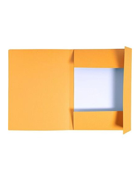 DOSAR CARTON PLIC PORTOCALIU EXACOMPTA,EX448009E