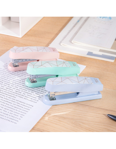 CAPSATOR 25 COLI 24/6 MACARONS DELI,DLE0402F