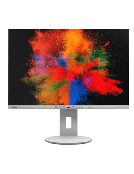 Monitor Fujitsu B2410 WE, EU, S26361-K1697-V140, Argintiu