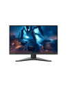 MONITOR LCD 24" G25-20 66D6GAC2EU LENOVO