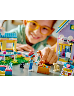 41727 Centru de salvare pentru,41727 2