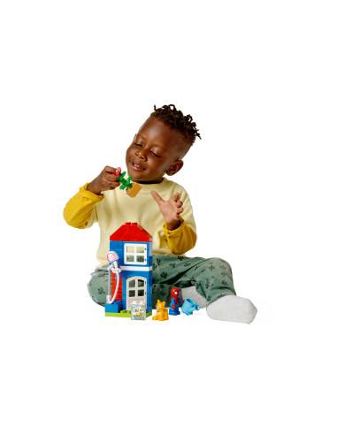 10995 Casa Omului,10995