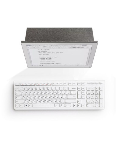 EInk Monitor BOOX Mira, Display: 13.3, (1650x2200) 207 ppi