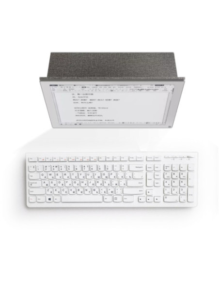 EInk Monitor BOOX Mira, Display: 13.3, (1650x2200) 207 ppi