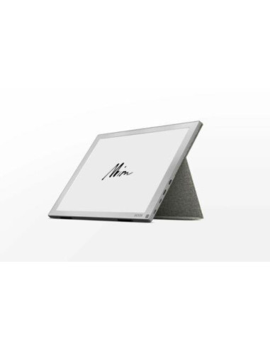 EInk Monitor BOOX Mira, Display: 13.3, (1650x2200) 207 ppi