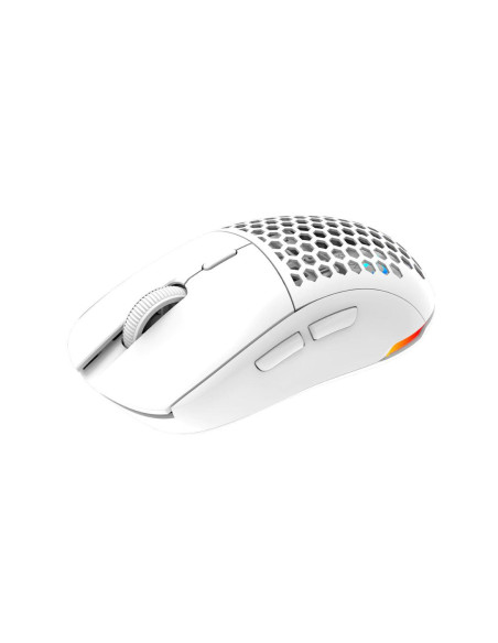 Mouse AQIRYS T.G.A Alpha, wireless, 6 butoane, interfata USB