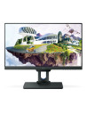 Monitor LED Benq PD2500Q, 27inch, IPS QHD, 4 ms, 60 Hz,