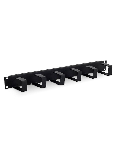 TRITON ORG.CABLU 1U, 6x organizer 70x40,RAB-VP-X21-A1