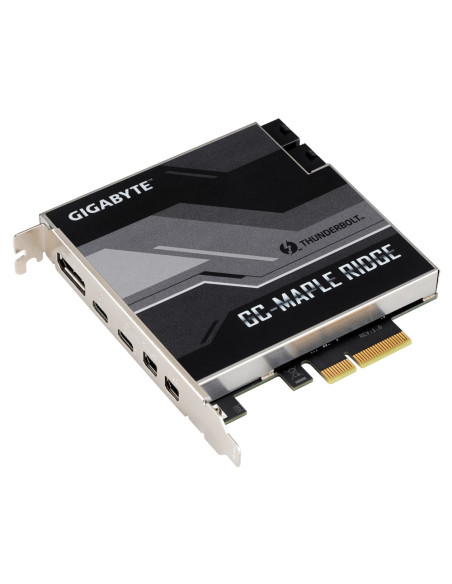 Gigabyte MAPLE RIDGE, Thunderbolt 4 add-in card, DisplayPort, Thunderbolt 4 port   USB 32. Gen2 Type-C, 2x Mini-DisplayPort In