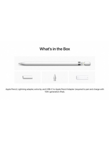 Apple Pencil (1stGeneration) with Lightning Adapter for Ipad