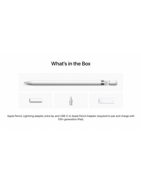 Apple Pencil (1stGeneration) with Lightning Adapter for Ipad