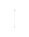 Apple Pencil (1stGeneration) with Lightning Adapter for Ipad