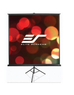 Ecran proiectie cu trepied, 240 x 180 cm, profesional