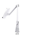 Neomounts by Newstar TABLET-D100SILVER Tablet Desk Stand -