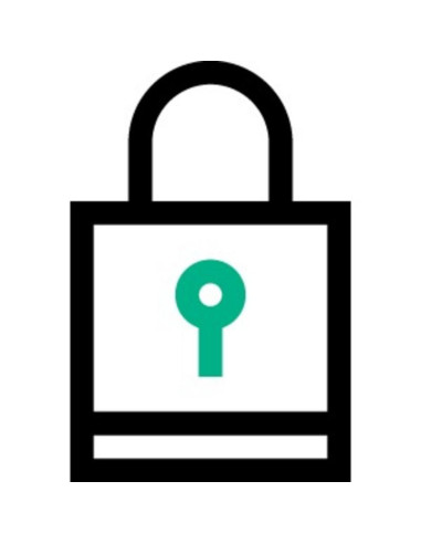 HPE Smart Array Secure Encryption,Q2F26AAE