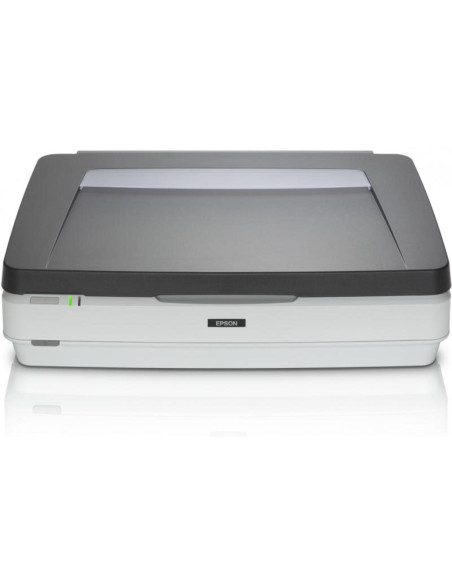 Scanner Epson Expression 12000XL PRO, dimensiune A3, tip