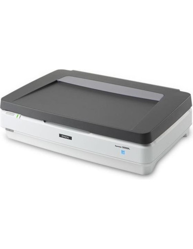 Scanner Epson Expression 12000XL PRO, dimensiune A3, tip