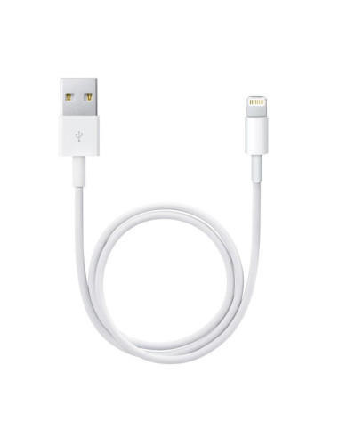 Apple Lightning to USB Cable (0.5,ME291ZM/A